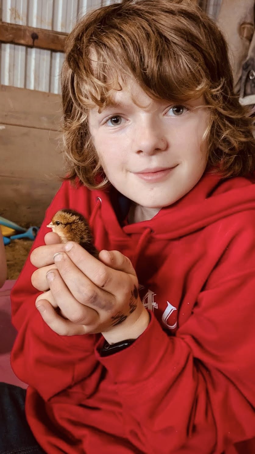 Mentors and youth working together in program sessions